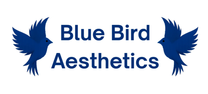 Blue Bird Aesthetics